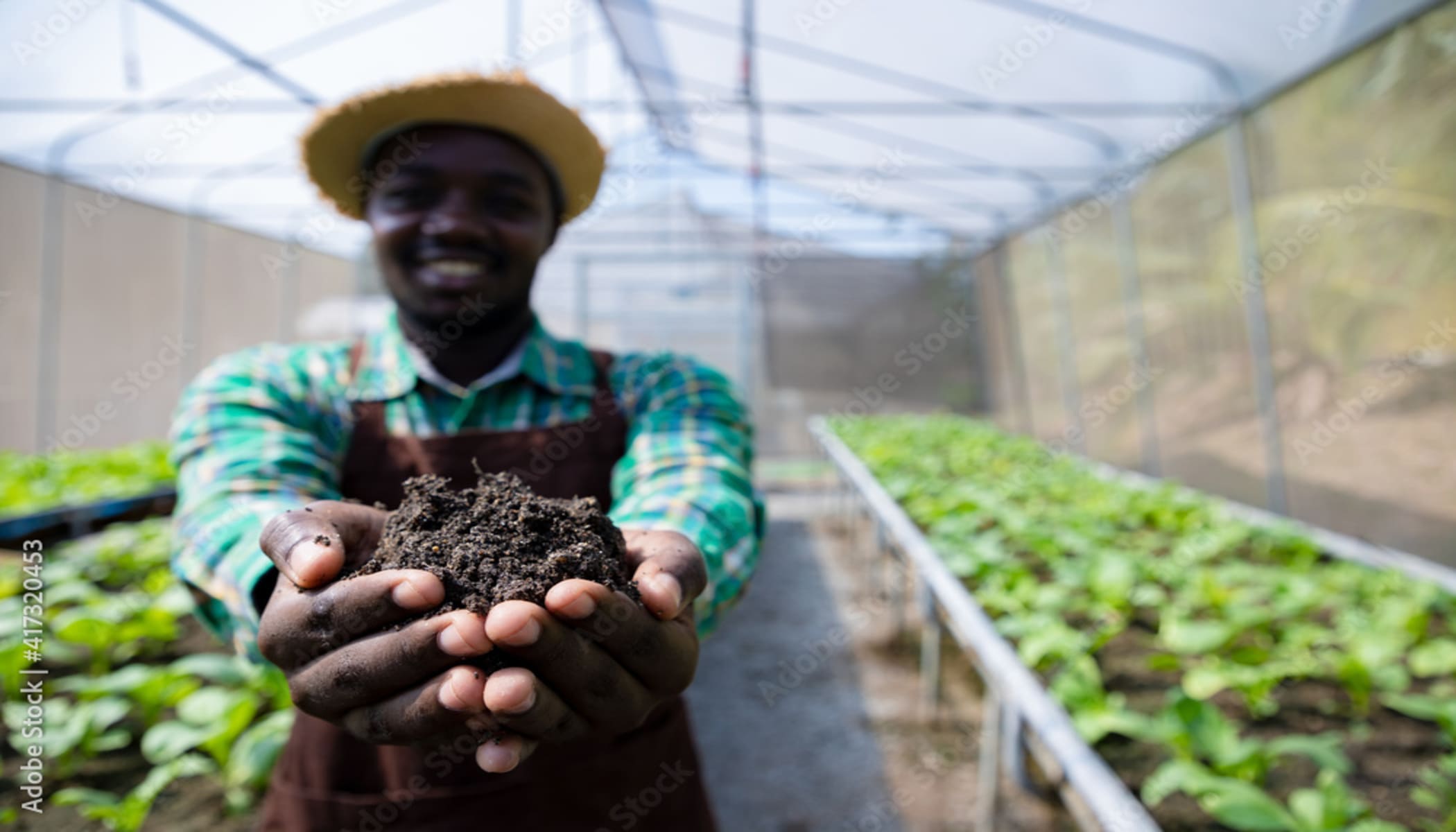 AdobeStock_417320453_Preview-1